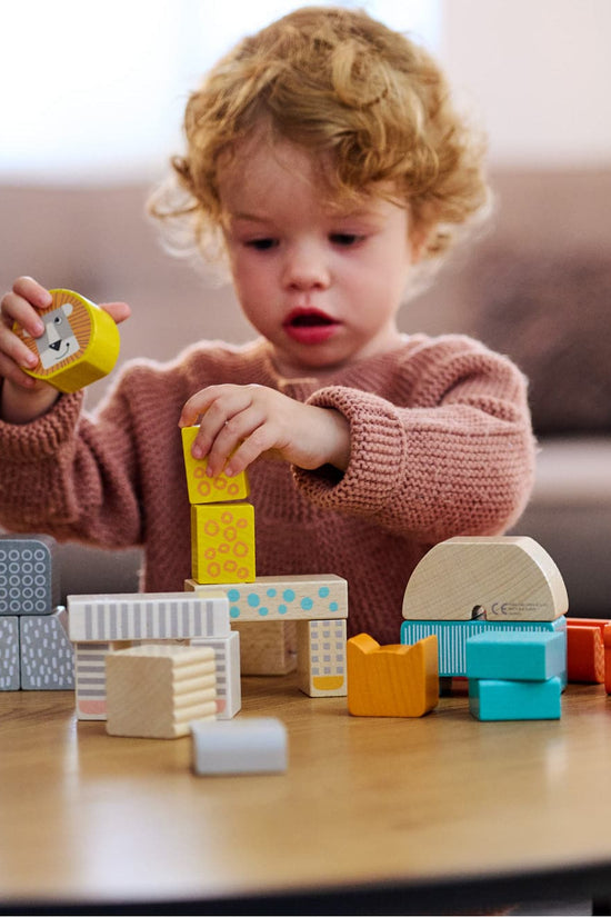 Animal Parade Blocks