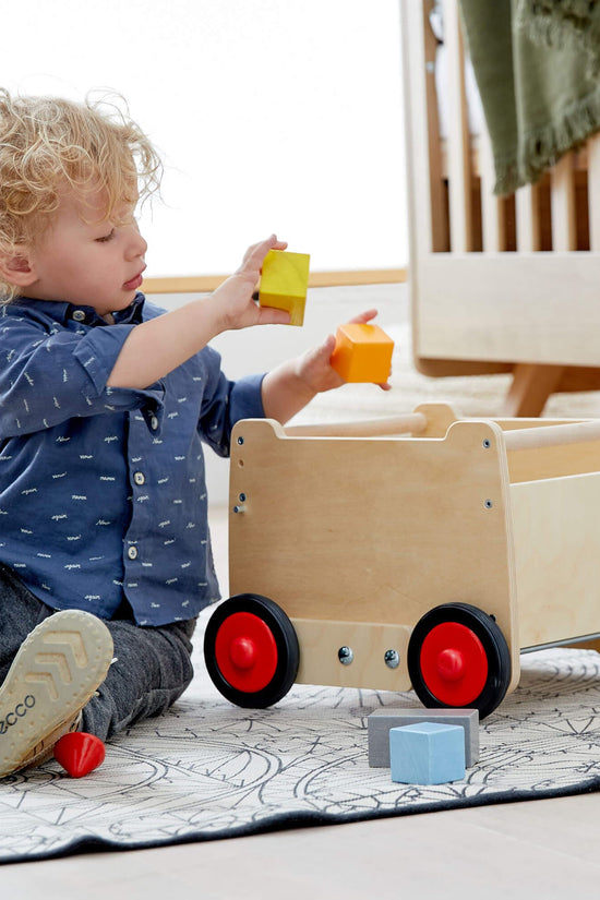 Dragon Wagon Baby Walker