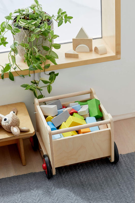Dragon Wagon Baby Walker