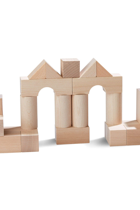 Basic Building Blocks 26 Piece Starter Set