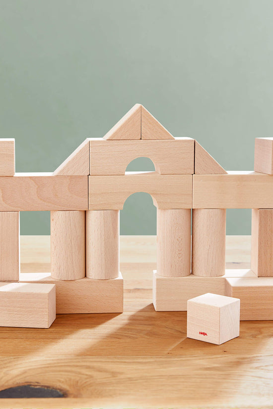 Basic Building Blocks 26 Piece Starter Set