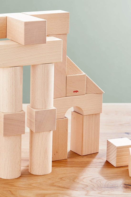 Basic Building Blocks 26 Piece Starter Set