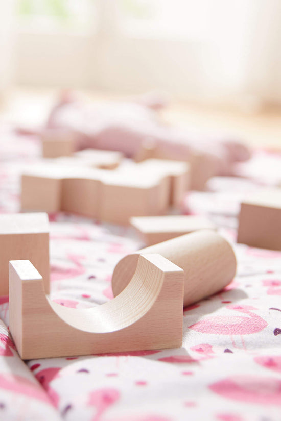Basic Building Blocks 26 Piece Starter Set
