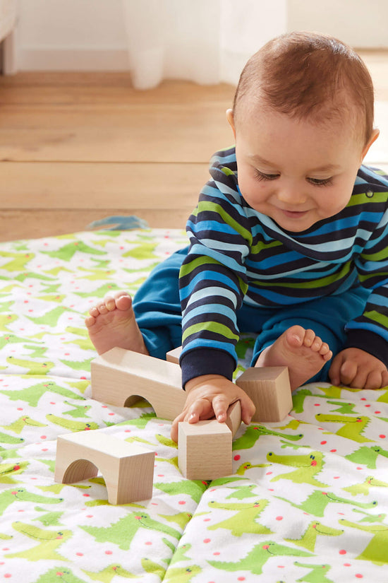 Basic Building Blocks 26 Piece Starter Set