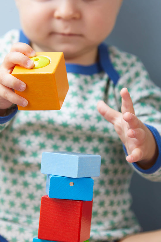 Fun with Sounds Wooden Discovery Blocks