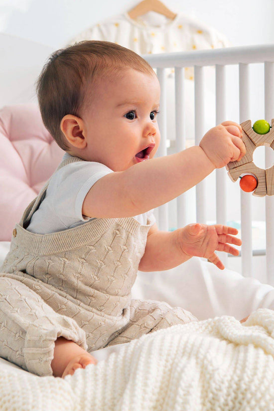 Ball Wheel Grasping Toy