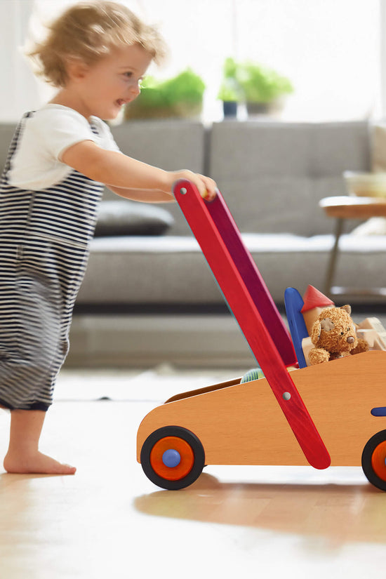 Walker Wagon Baby Push Walker